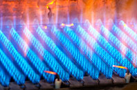 Trevelmond gas fired boilers